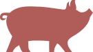 PORK ICON